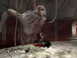 Conjured creature, Silent Hill Wiki