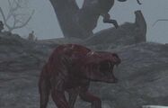 A Feral snarling as seen in its introductory cutscene.