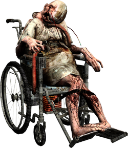 Mira Silent Hill Wiki Fandom - Silent Hill 2 Dog Png,Shiba Inu Png - free  transparent png images 