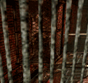 CageCreature ps2.gif (4.91 MB) Unknown creature in the cage.