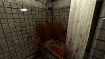 Bloody bathtub.