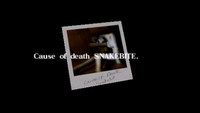 "Snakebite" photo.