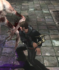 The halfbroken statue.