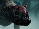 Snarler