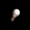 Light Bulb