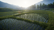 Early test render.