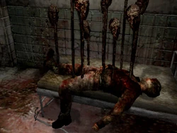 Toadstools in a corpse.