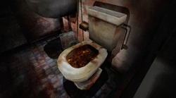 The toilet James puts his hand in.