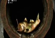 The fish that swallowed the bracelet.