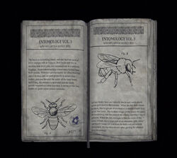 Book4 Entomology Volume 3