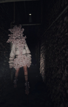 Sakura Head | Silent Hill Wiki | Fandom