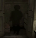 Тень в шкафу