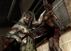 Butcher killing nurse