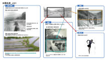 Reference material for rural landscapes.