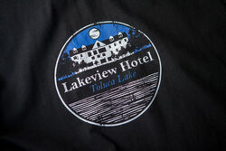 LakeviewLogo