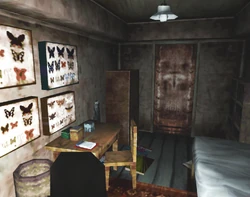 Alessa's room.