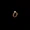 Wedding Ring