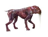 An idea for the Feral by Kenzie LaMar, which neglected giving the canine beast an adequate "head".