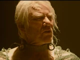 Leonard Wolf (film)