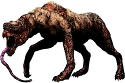 Самка ищейки.