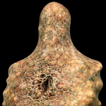 Armless Man Silent Hill Wiki Fandom The silent hill franchise is known for its incredible monsters. armless man silent hill wiki fandom