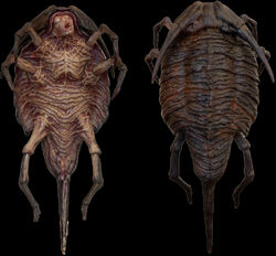 Creeper | Silent Hill Wiki | Fandom
