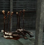 Поганки на трупах Резиноголовых