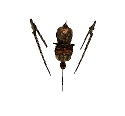 A Pendulum.