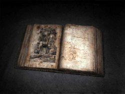 The book found under the burn out Wish House.