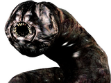 Greedy Worm