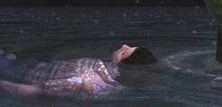 Harry unconscious on the shore of Toluca Lake.