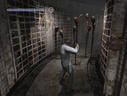 Toadstools in the Water Prison.