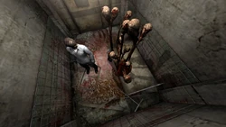 Toadstools in a corpse.