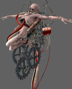 Model.