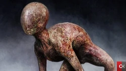 The "neutral" Raw Shock that was used as a base for the creature.