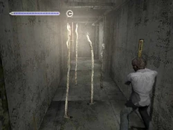 A group of Whitestools found in the Building World.