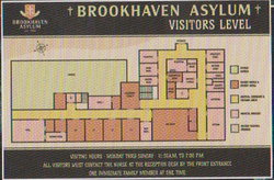 BrookhavenAsylumMap