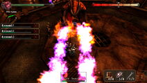 Fighting against the Fire Guardian.