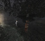 Обмотанное дерево