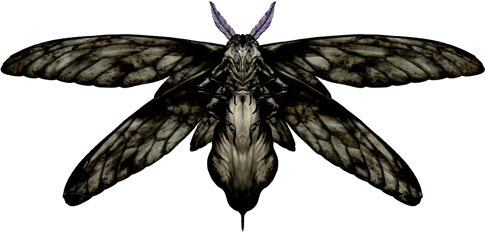 The Moth (novel) - Wikipedia
