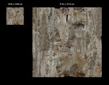 Photogrammetry textures.