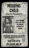 "Missing Child" poster featuring Charlie.