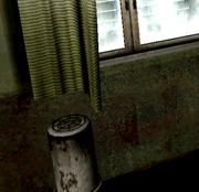 Johnny, quien provocó el incendio del Hotel Lakeview.