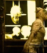 Una radiografía de la cabeza de la Missionary.