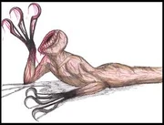 Un esbozo de Lurker.