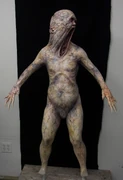Modelo del Grey Child de la película.