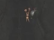 James observando un Mandarin.