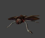 Detalle de la parte frontal.