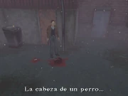 Harry encuentra la cabeza de un perro.