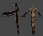 Lurker de espalda y perfil.